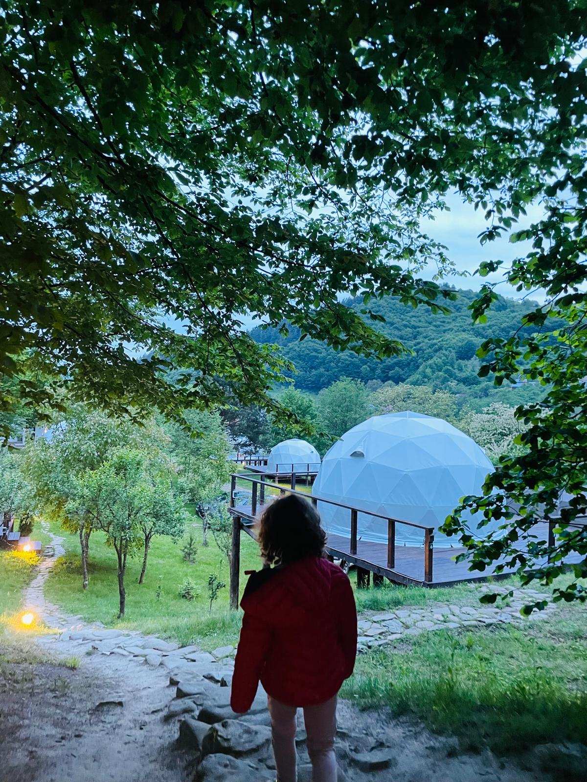 Grand Prestige Igloo - Activitati pentru copii - Vizita la Ferma Animalelor, drumetii