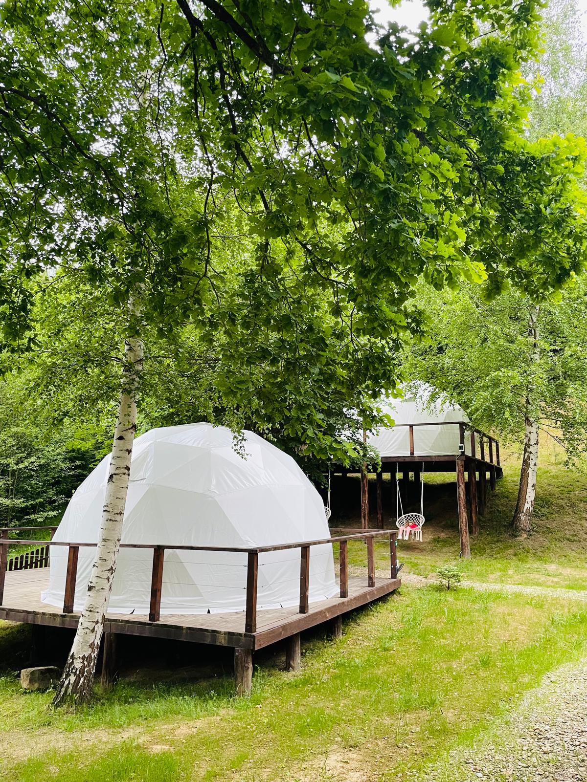 Grand Prestige Igloo - Activitati pentru copii - Vizita la Ferma Animalelor, drumetii