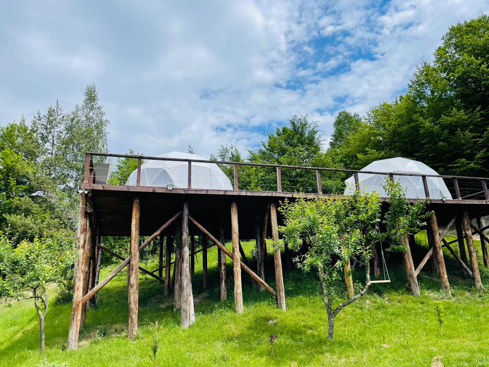 Grand Prestige Igloo - Activitati pentru copii - Vizita la Ferma Animalelor, drumetii